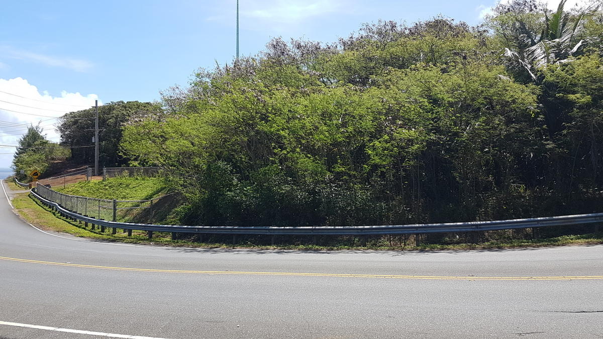 Cross Island Road (Rte 17)