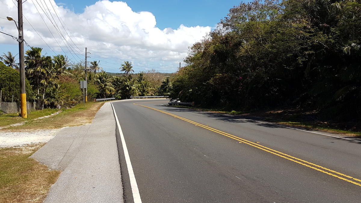Cross Island Road (Rte 17)