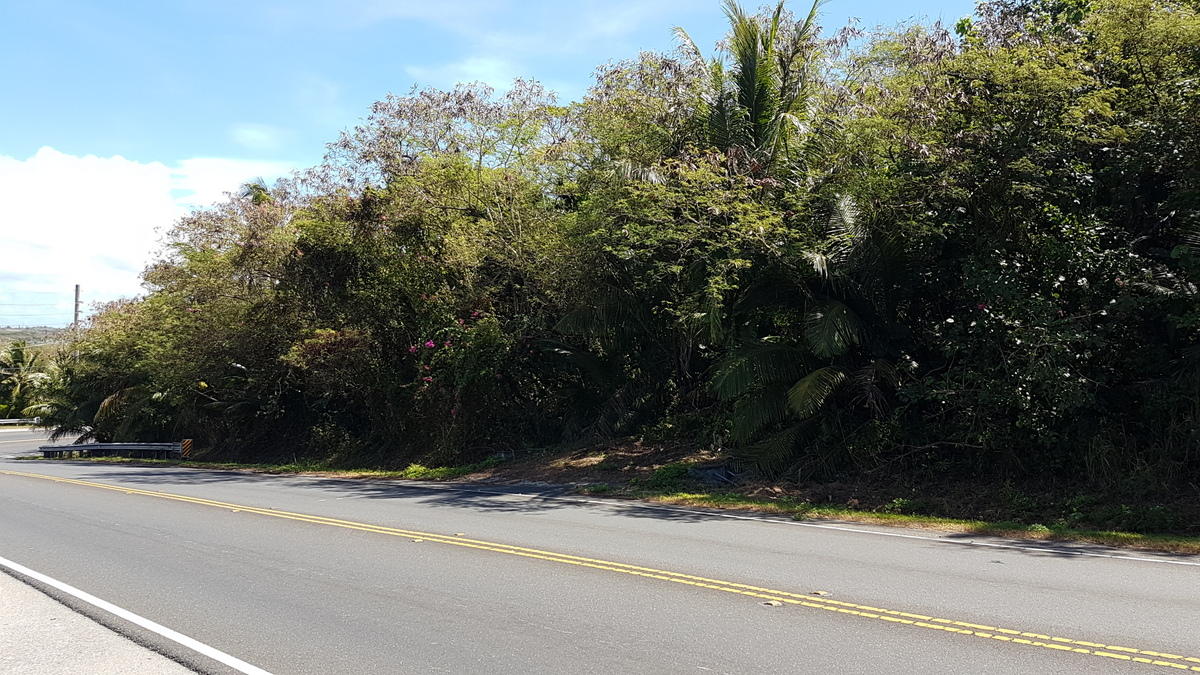 Cross Island Road (Rte 17)