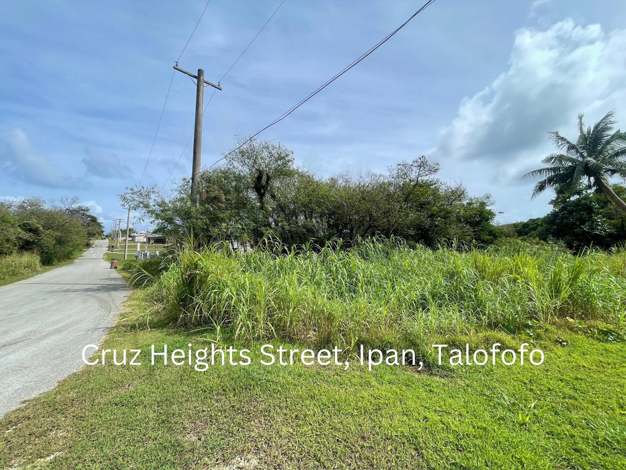 Cruz Heights ( L9-86-1 T142) Street