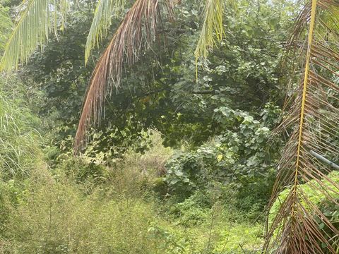 Umang Road Hagat  96915