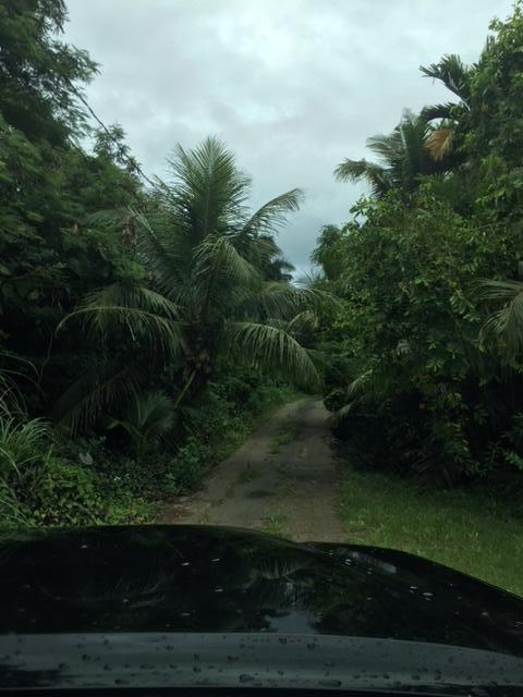 Serena Road