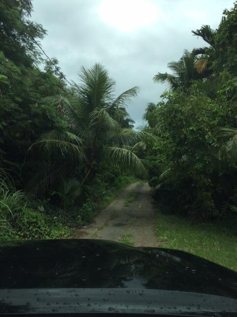 Serena Road