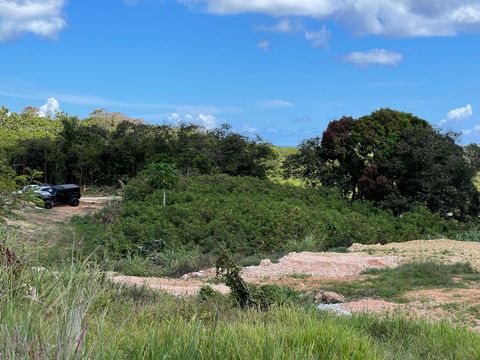 Dairy Road Mangilao  96913