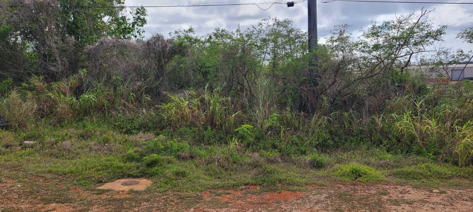 Lot 5223-6NEW-9-R1