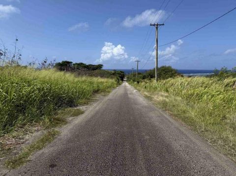 Ija Experimental Road Inalahan  96915
