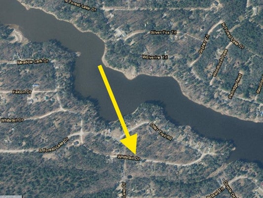 WHITE TAIL DR, ALGER, MI 48610 - Image 0b8bf33391cceed989655f93fcda3d4d/1475060461