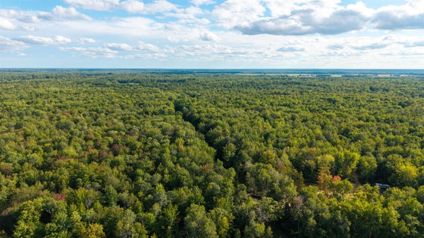 E BAKER RD, HOPE, MI 48628 - Image 2291227da7e07acdb526bce0d714c58f/188875766