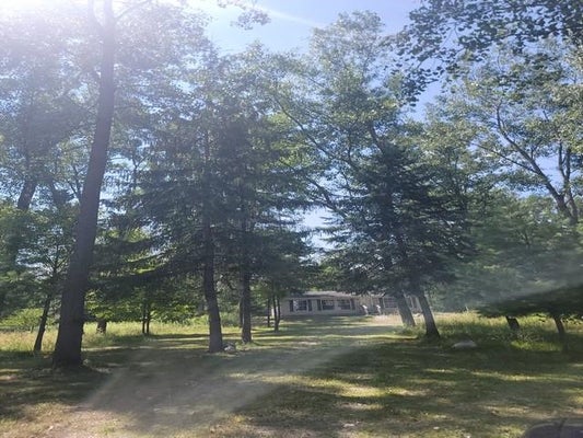 SCHAFER RD, OSCODA, MI 48750 - Image 65f306b2f86faa559f8d79f864d69037/1469596785