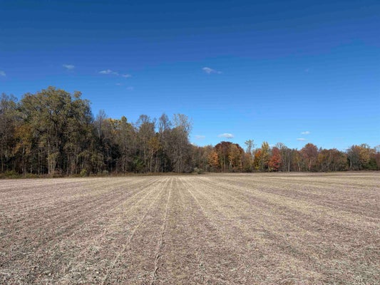 0 M-61 HIGHWAY, STANDISH, MI 48658 - Image de7e25bda30fee5dd1e7b0dd4f290e31/3800277190