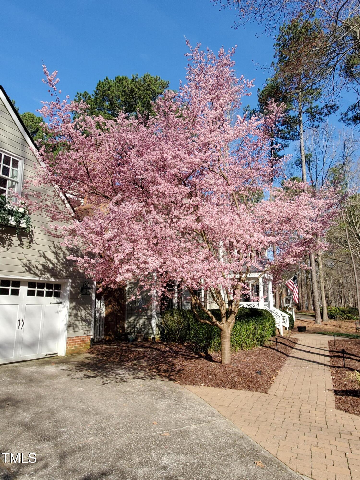 Raleigh, North Carolina 27615, United States, 4 Bedrooms Bedrooms, ,3 BathroomsBathrooms,Residential,Pending,1947