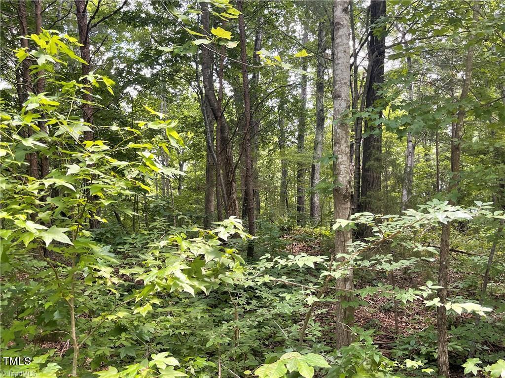 17 Old Mill Road