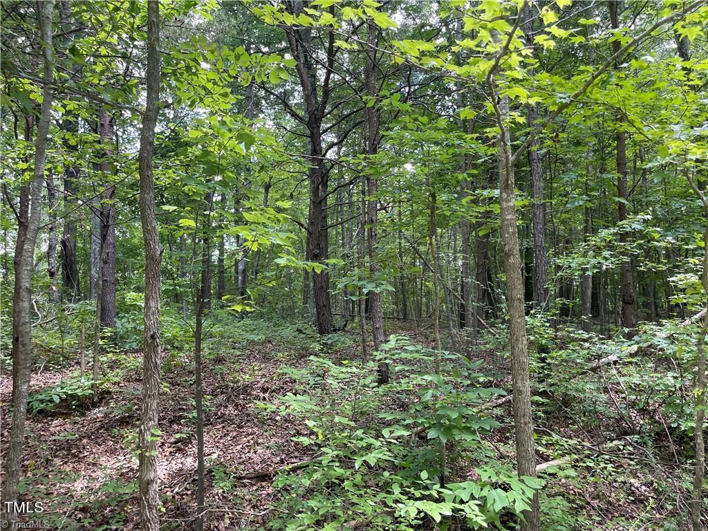 17 Old Mill Road