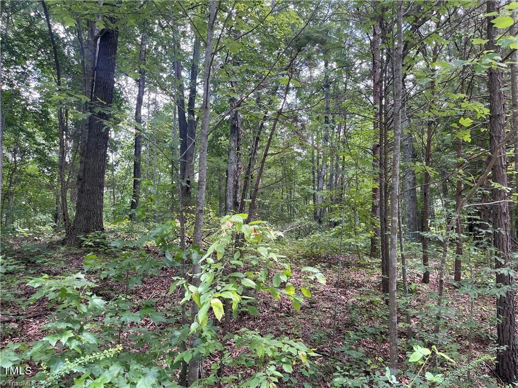 17 Old Mill Road
