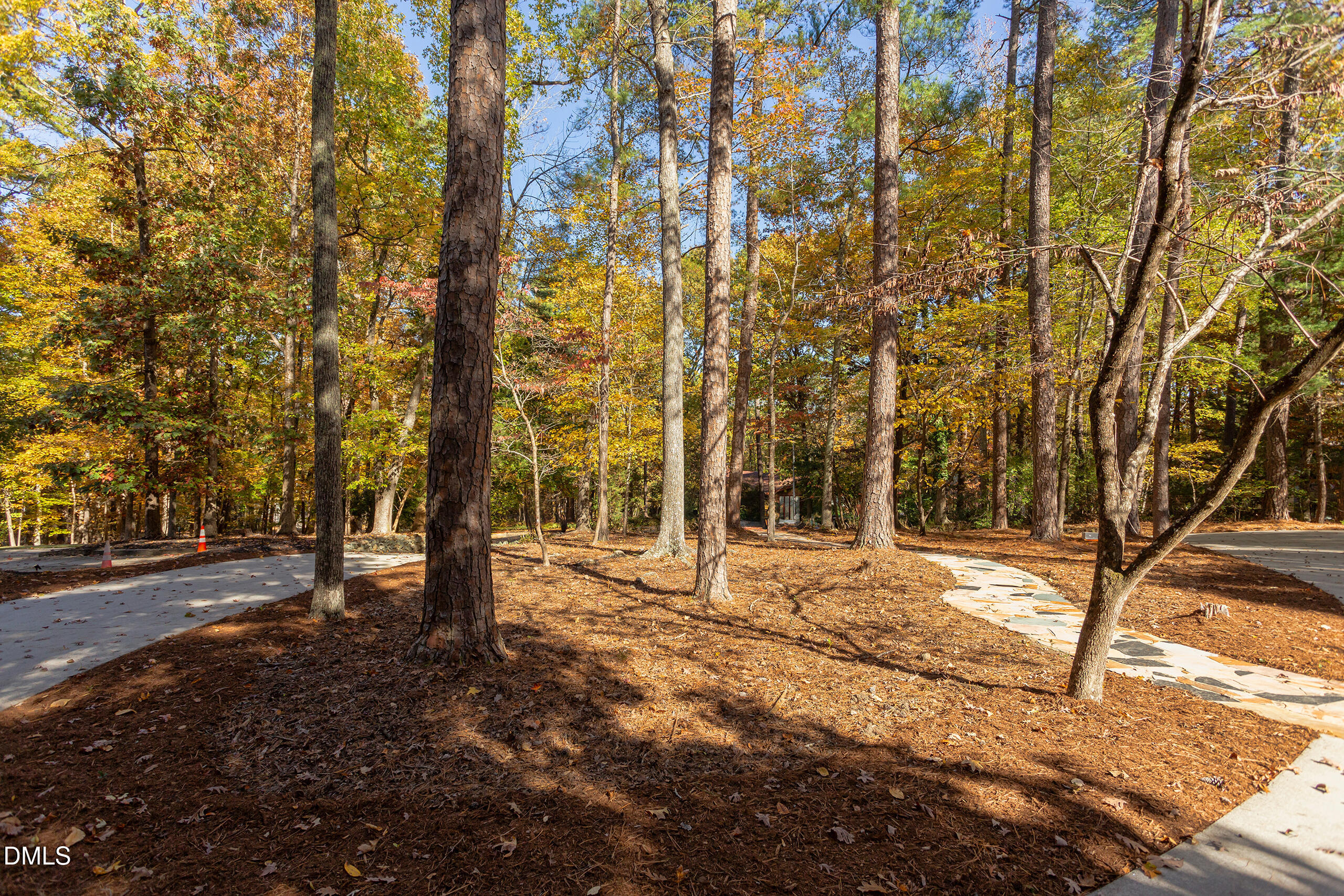 645 Wellington Drive