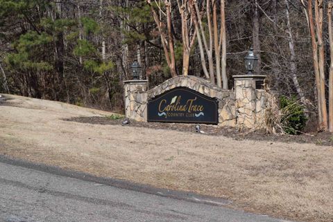 Unimproved Land in Sanford NC 845 & 846 High Hill Place 14.jpg