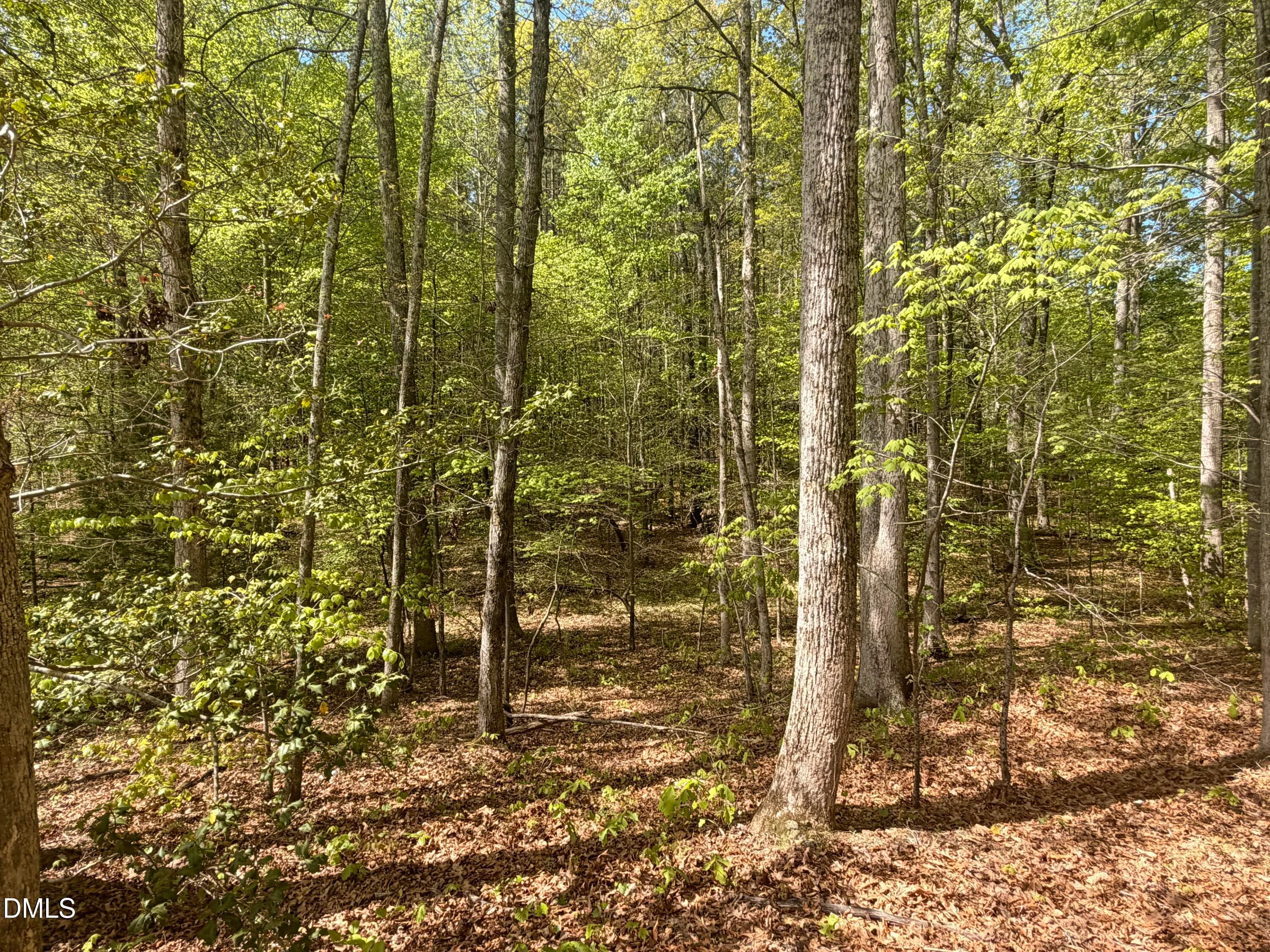4 Plantation