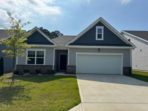 356 Campbell Street, Angier, NC 27501 - #: 10025368