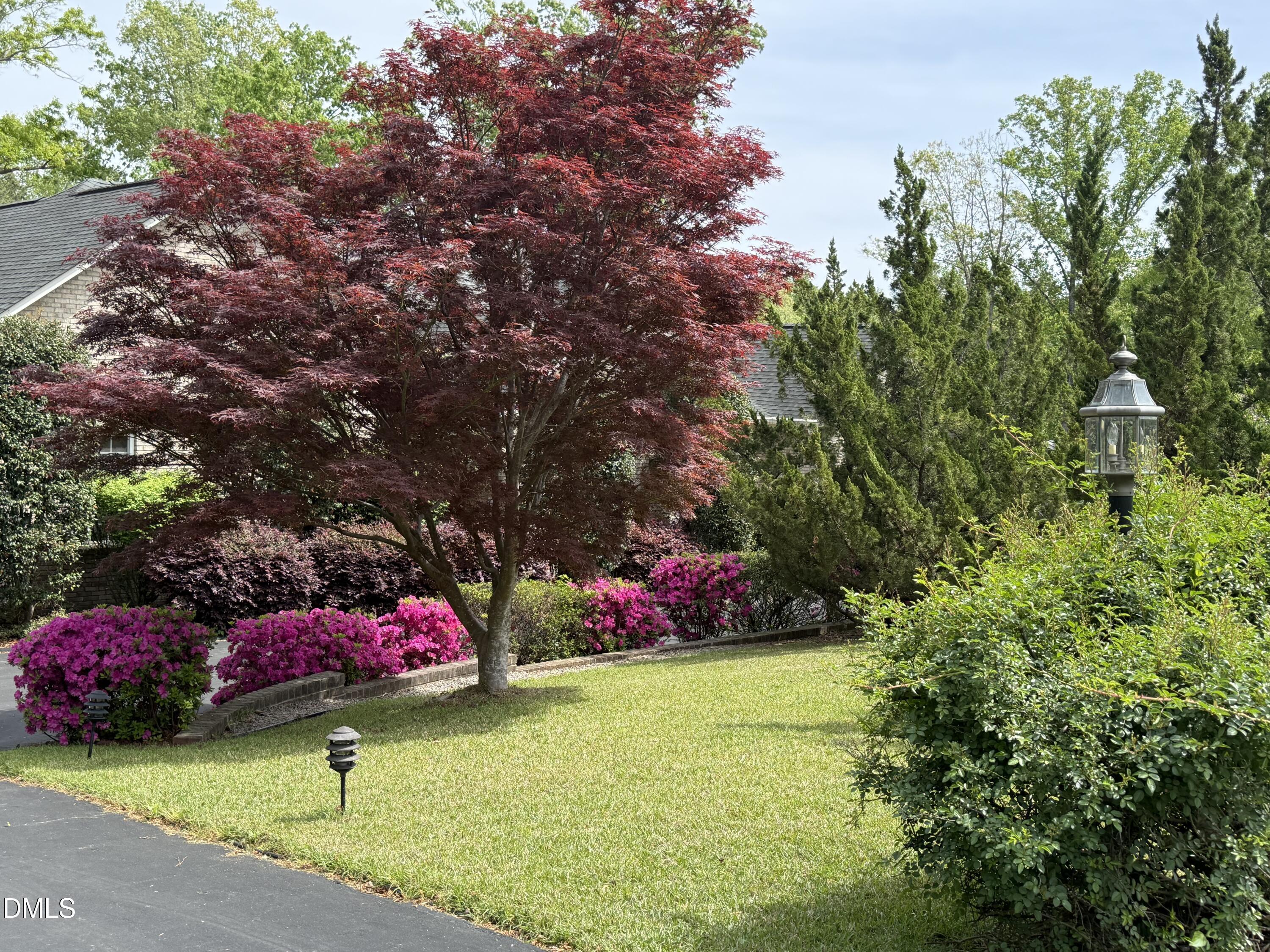 39 Indian Trail