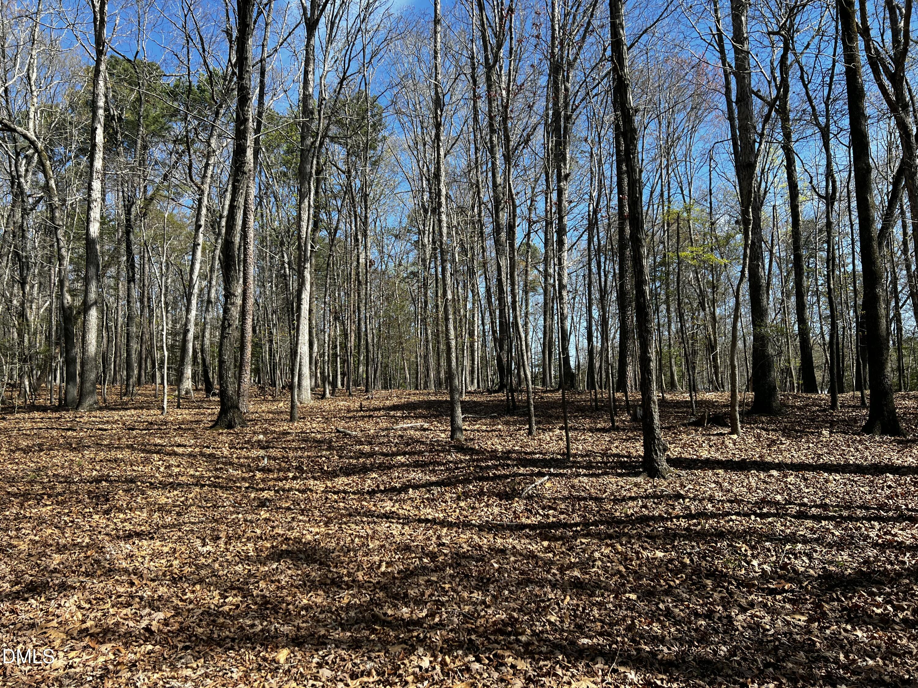 294 The Glades