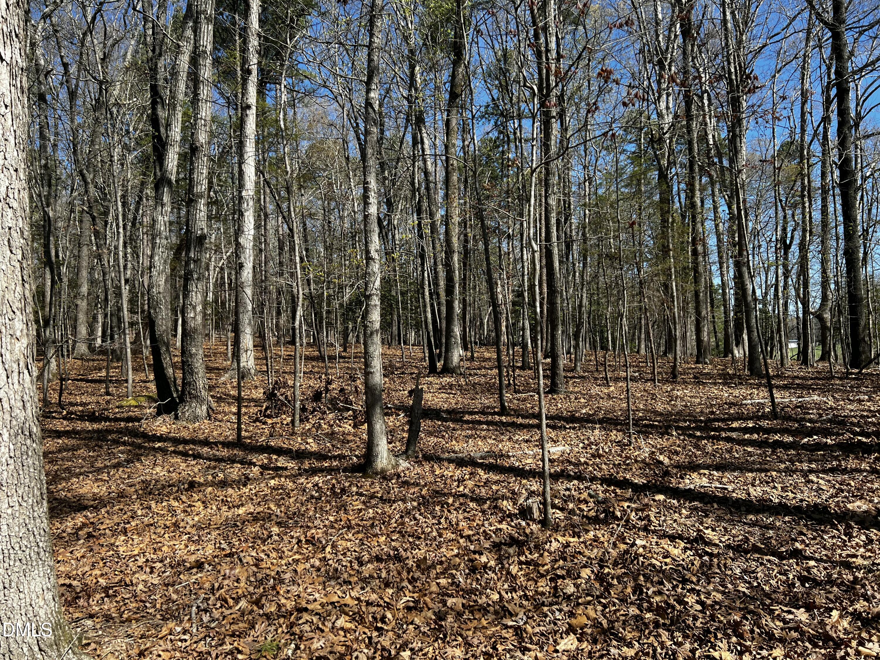 294 The Glades