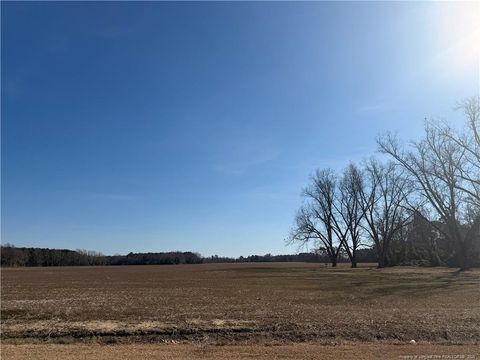 Lot B Pleasant Hope Road Lumberton NC 28340