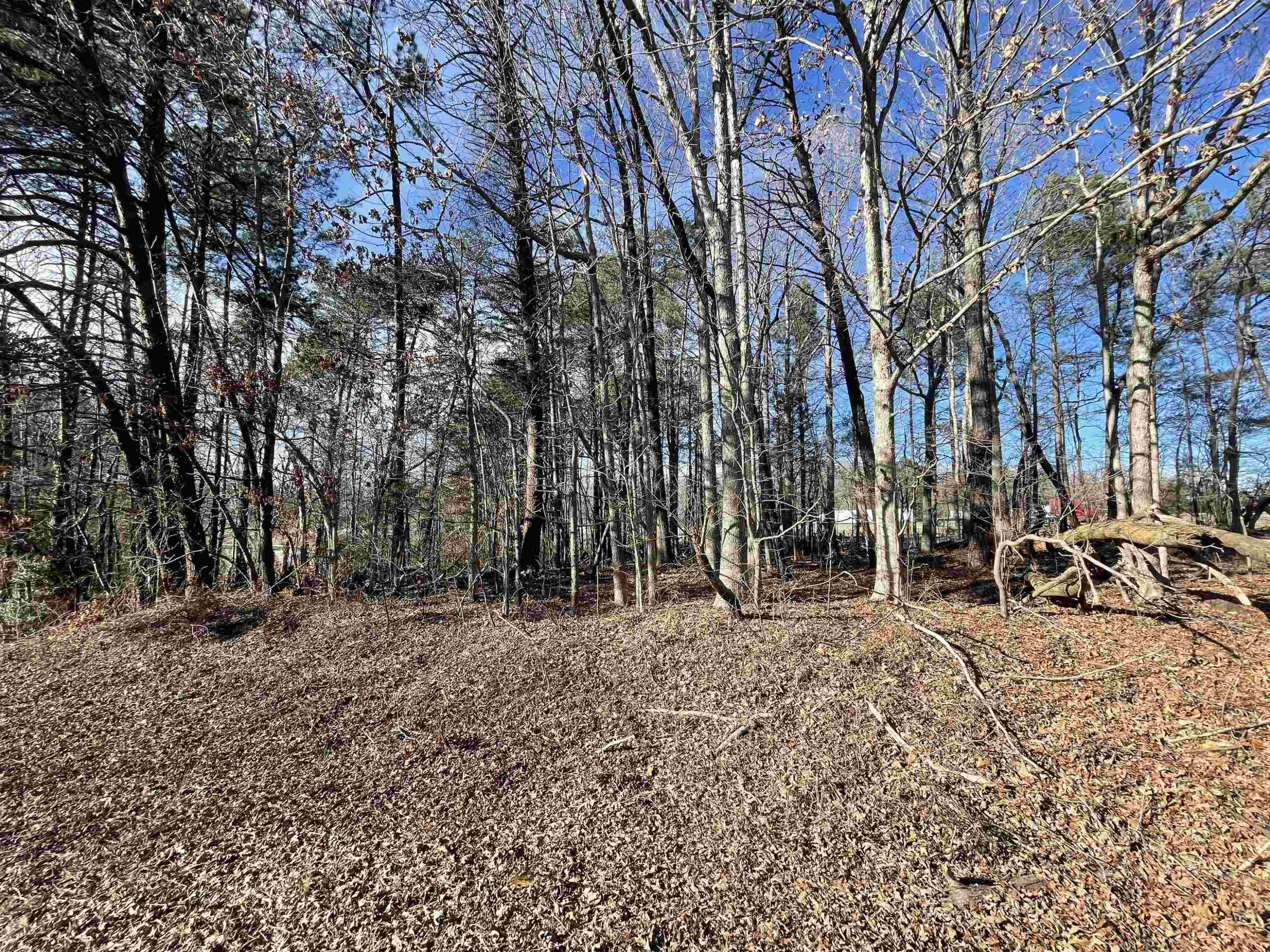 3605 W Ten Road