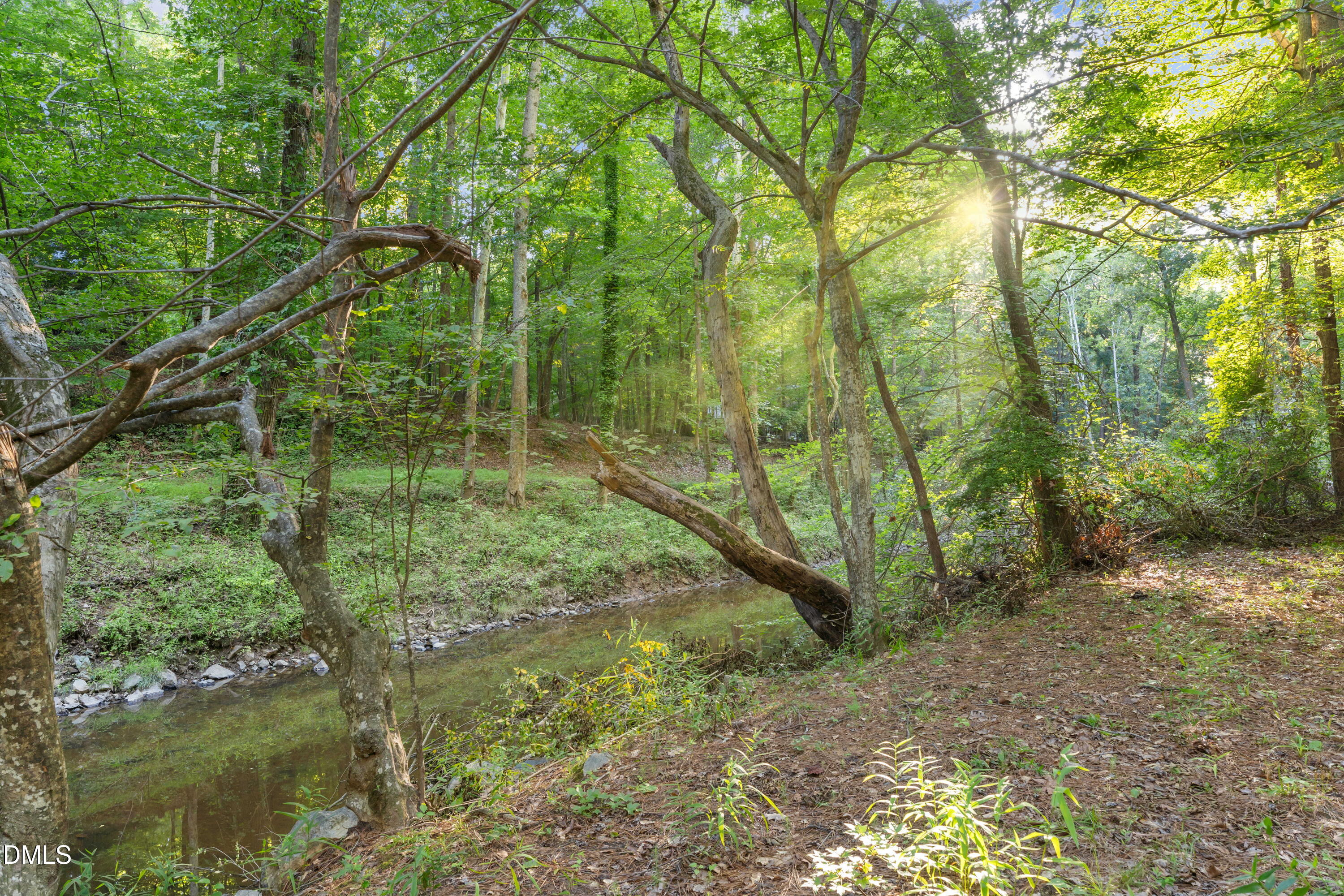 518 Morgan Creek Road