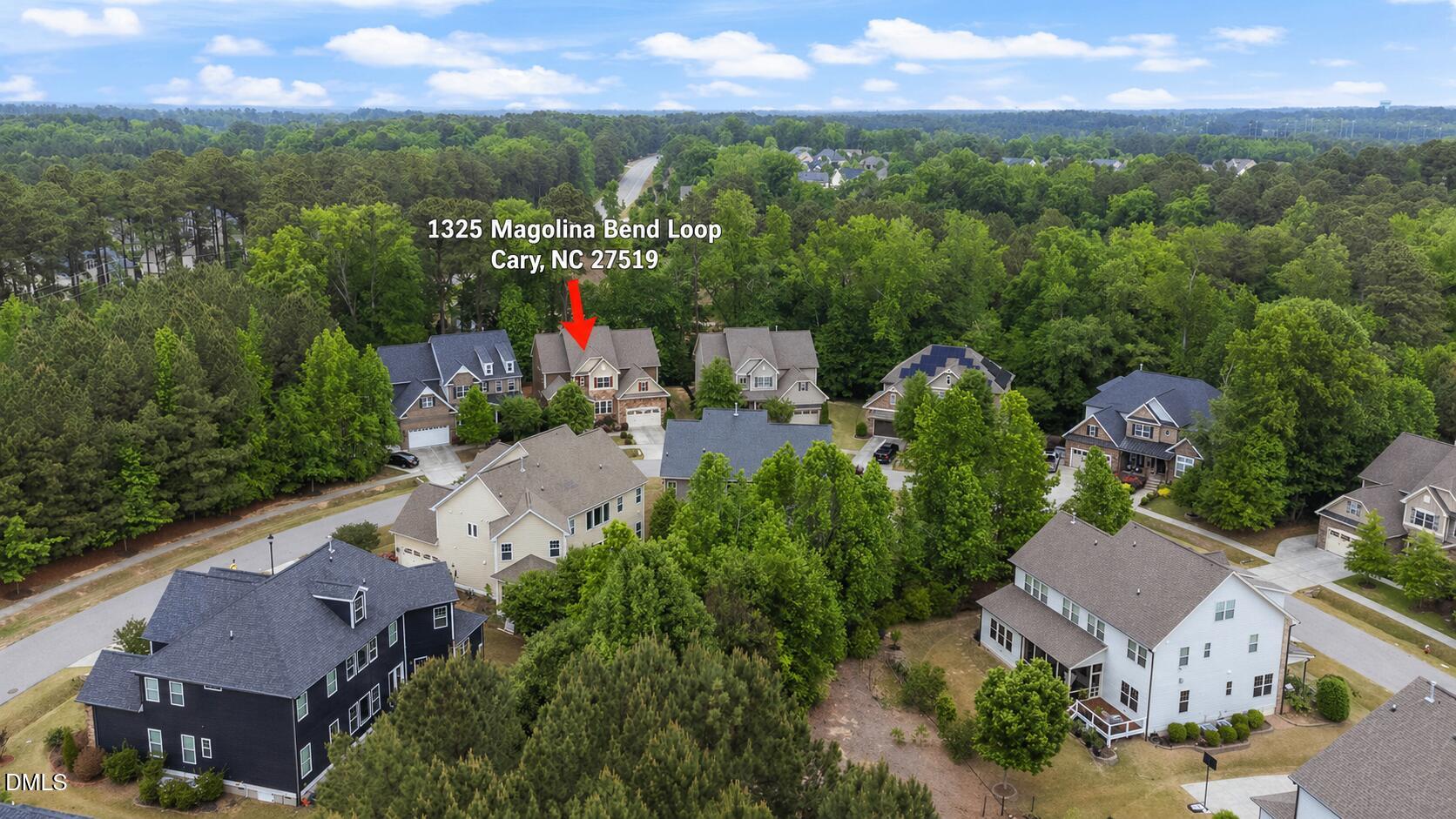 1325 Magnolia Bend Loop