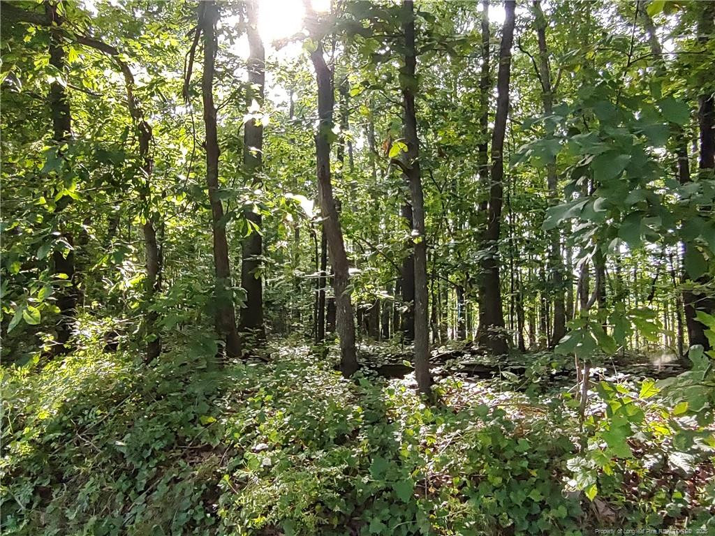 Lot 8 Lemon Springs Road