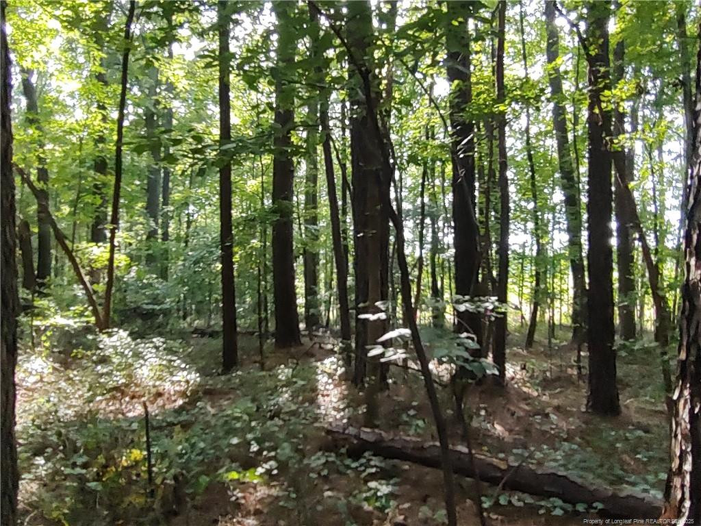 Lot 8 Lemon Springs Road