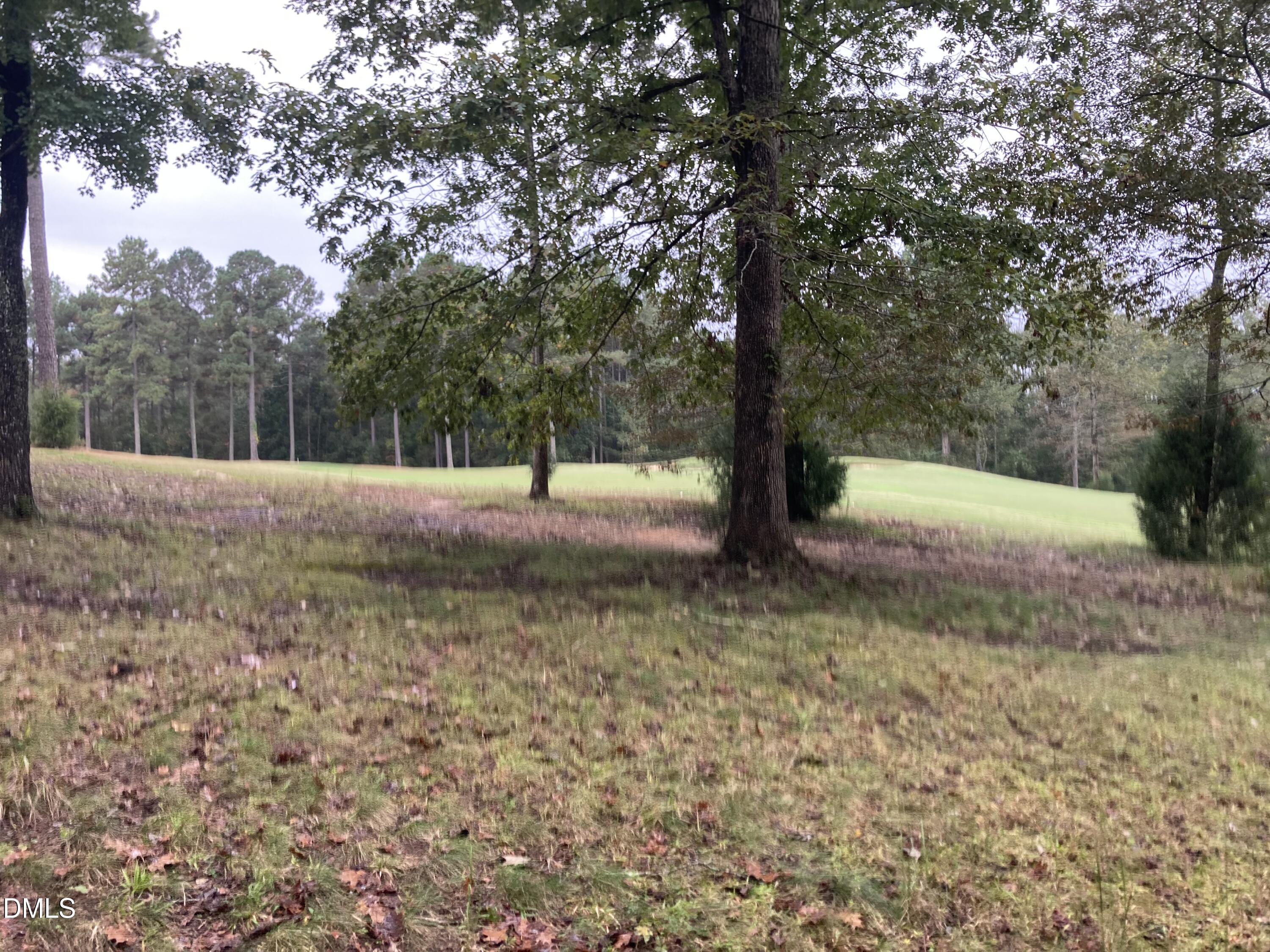 217 Cabin Creek
