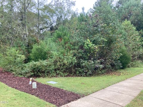 217 Cabin Creek Pittsboro NC 27312