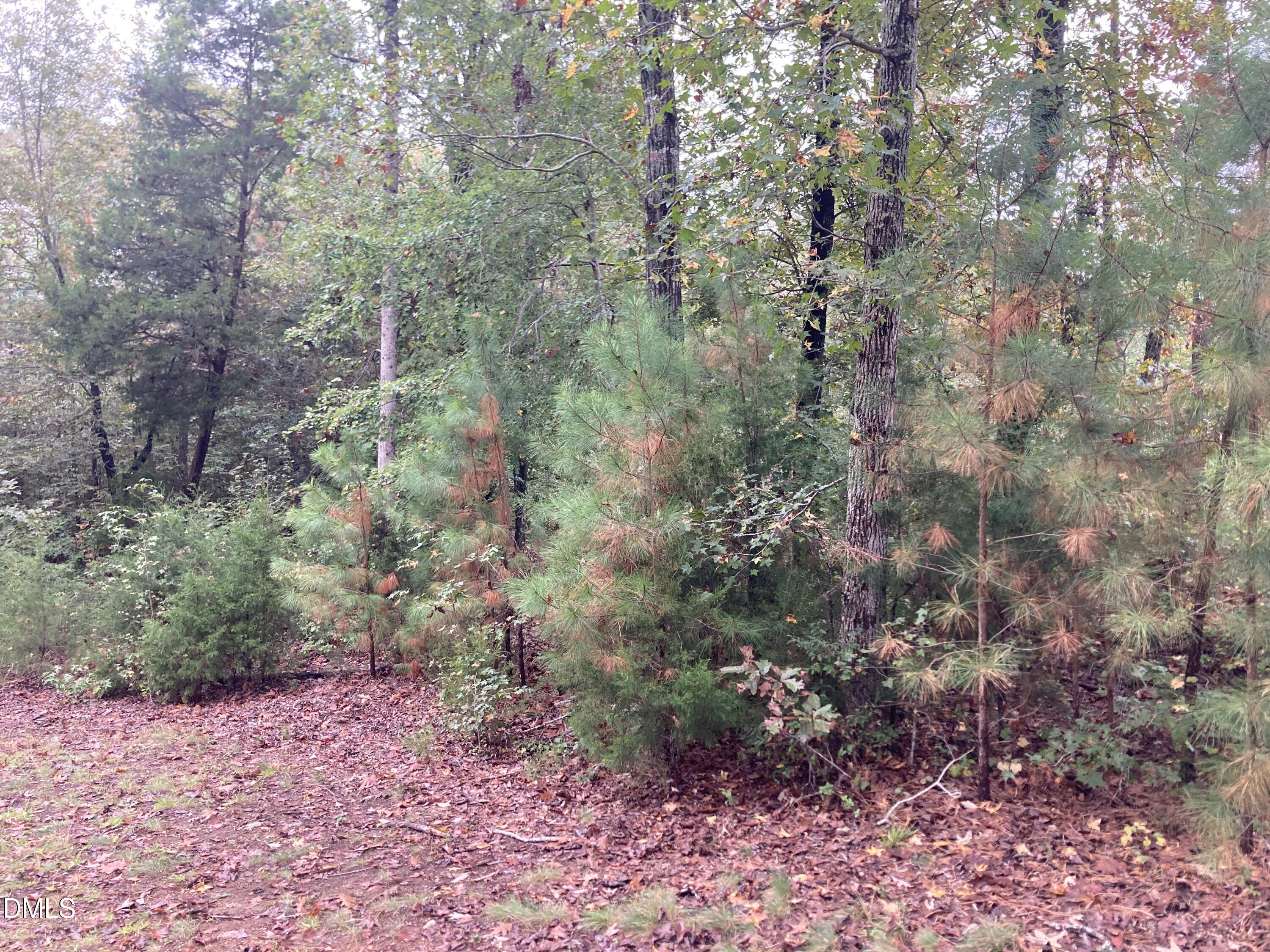 217 Cabin Creek