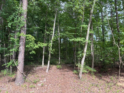 Photo of 134 Mohawk Drive, Louisburg, NC 27549 (MLS # 10173026)