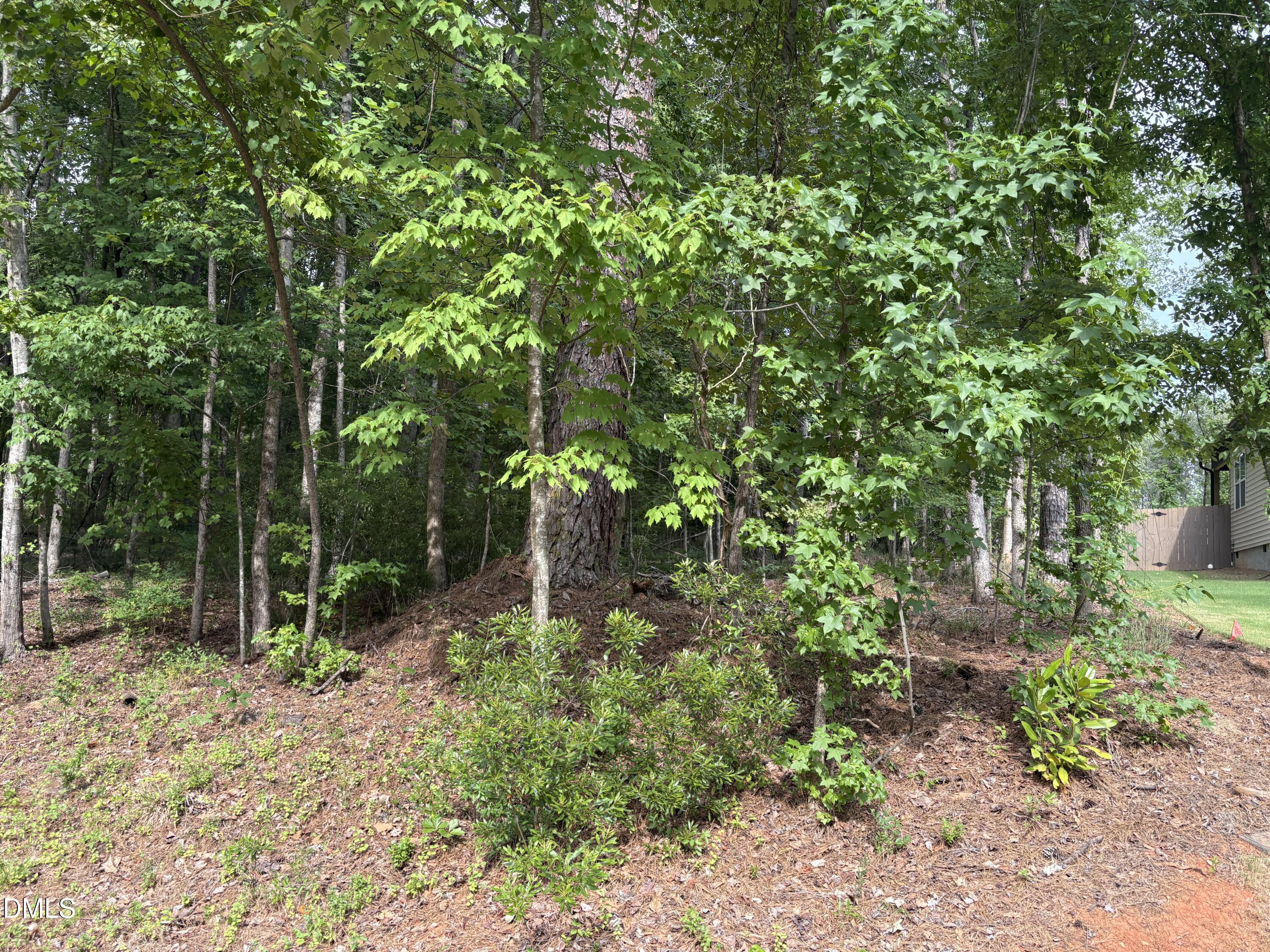 134 Mohawk Drive