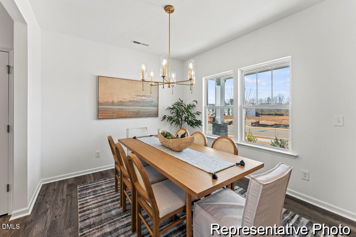 413 Plentiful Way 107