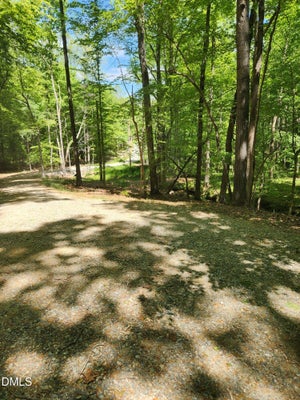 ADDRESS PRIVATE, EFLAND, NC 27243 - Image 087fd4108b36d1ea012bb2b05bd9dfda/2952152863