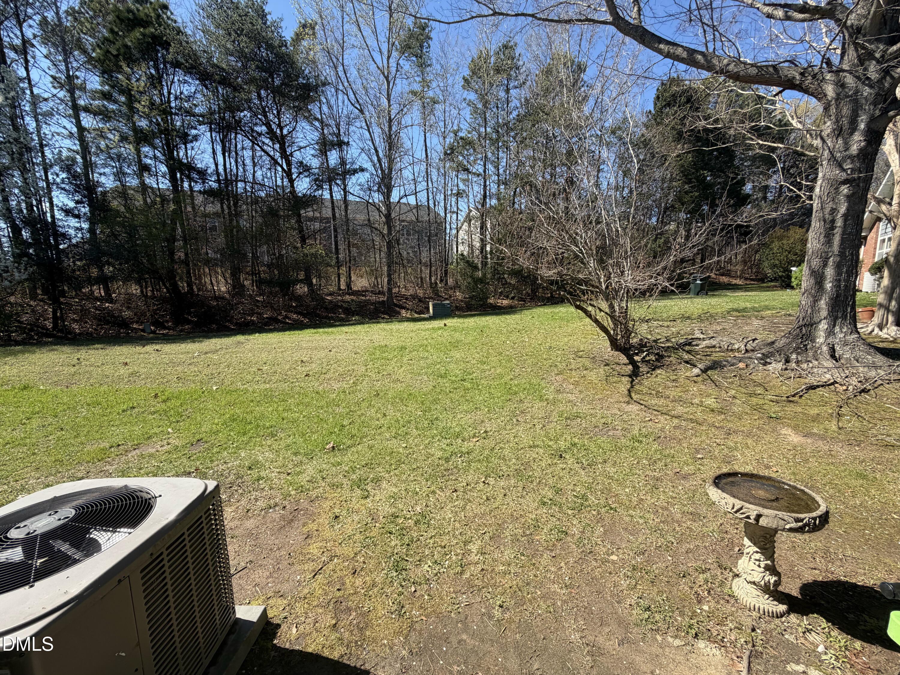 801 Pine Forest Trail