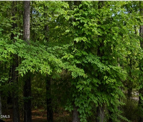 3225 JESELLA DR, RALEIGH, NC 27610 - Image 08b2fc873238024d01fcbc3ae136de3d/3386738611