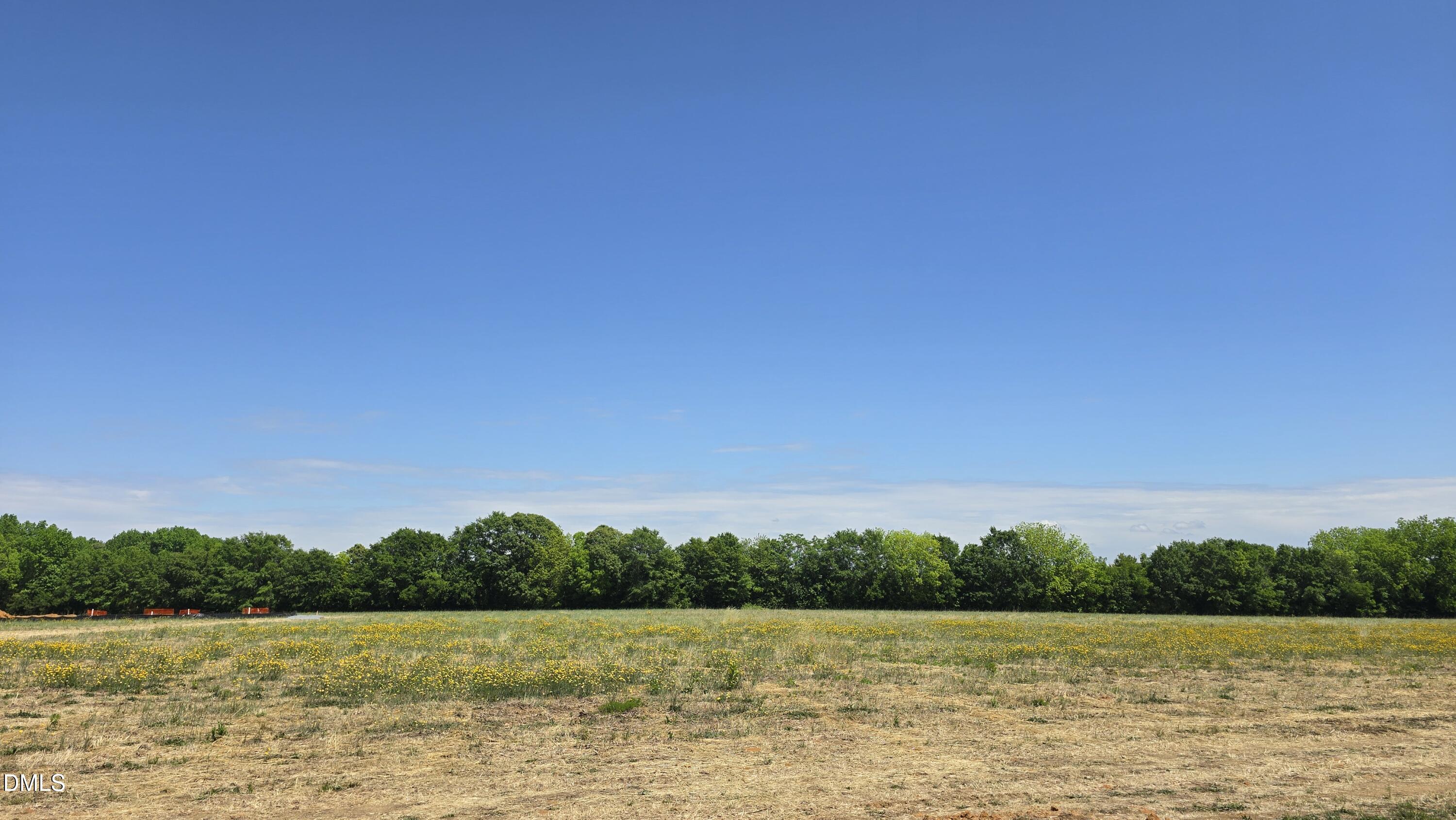Lot 10 Dogeye Road