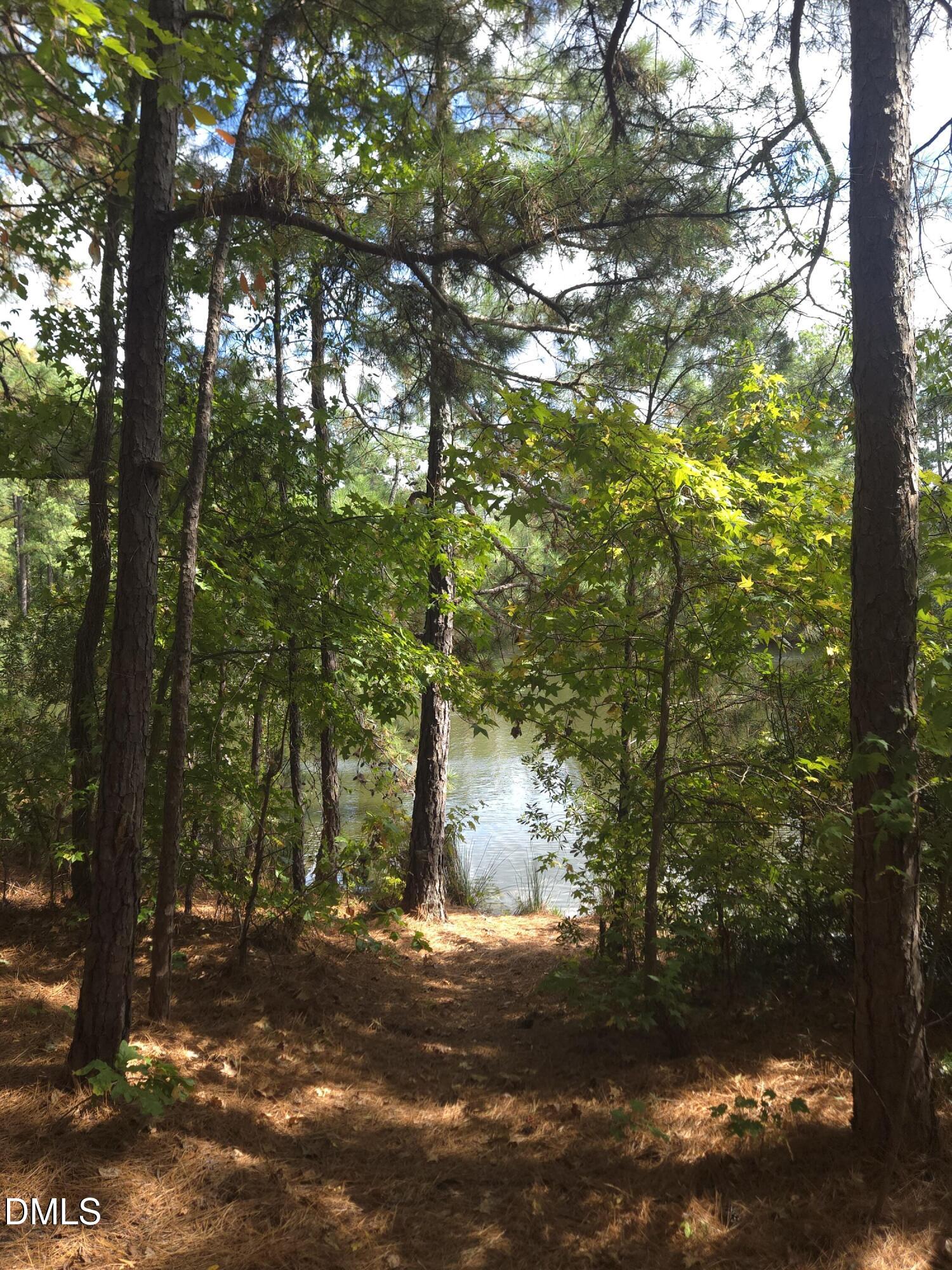 1607 Eagle Lodge Lane