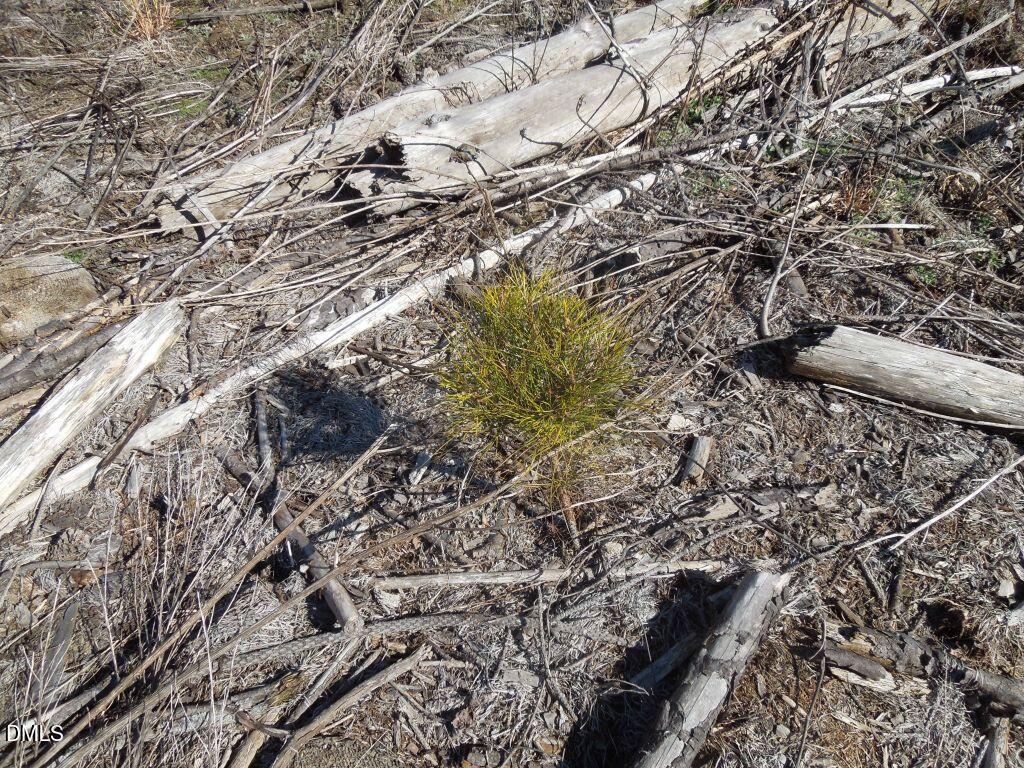 1059 Ridgeway-Warrenton Road