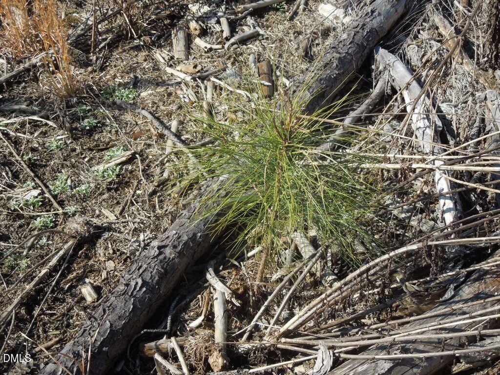 1059 Ridgeway-Warrenton Road