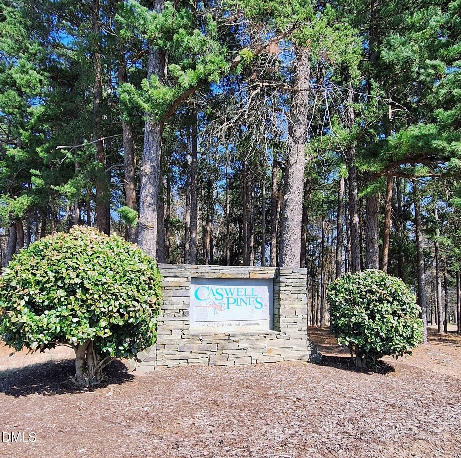 54 Caswell Pines Clubhouse Drive, Blanch, NC, 27212