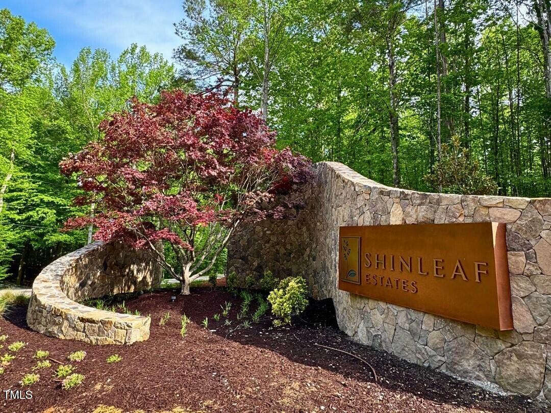 413 Shinleaf Pond Trail