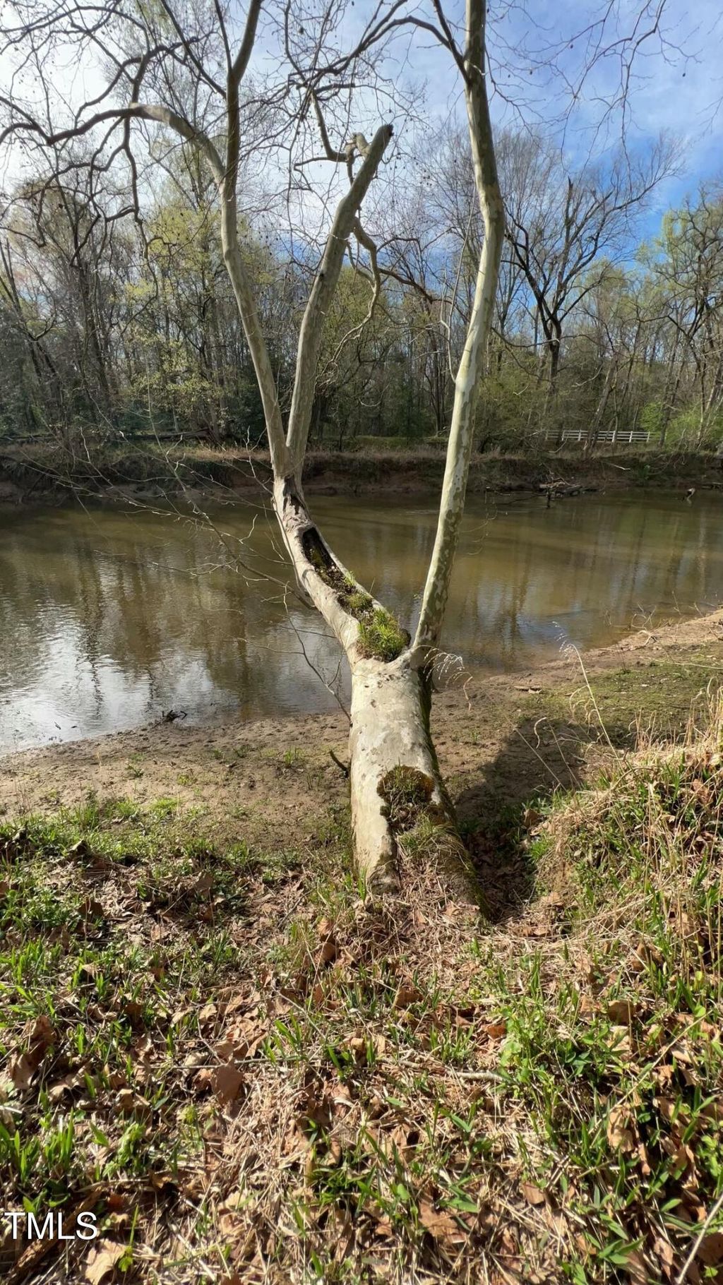 listing image 41