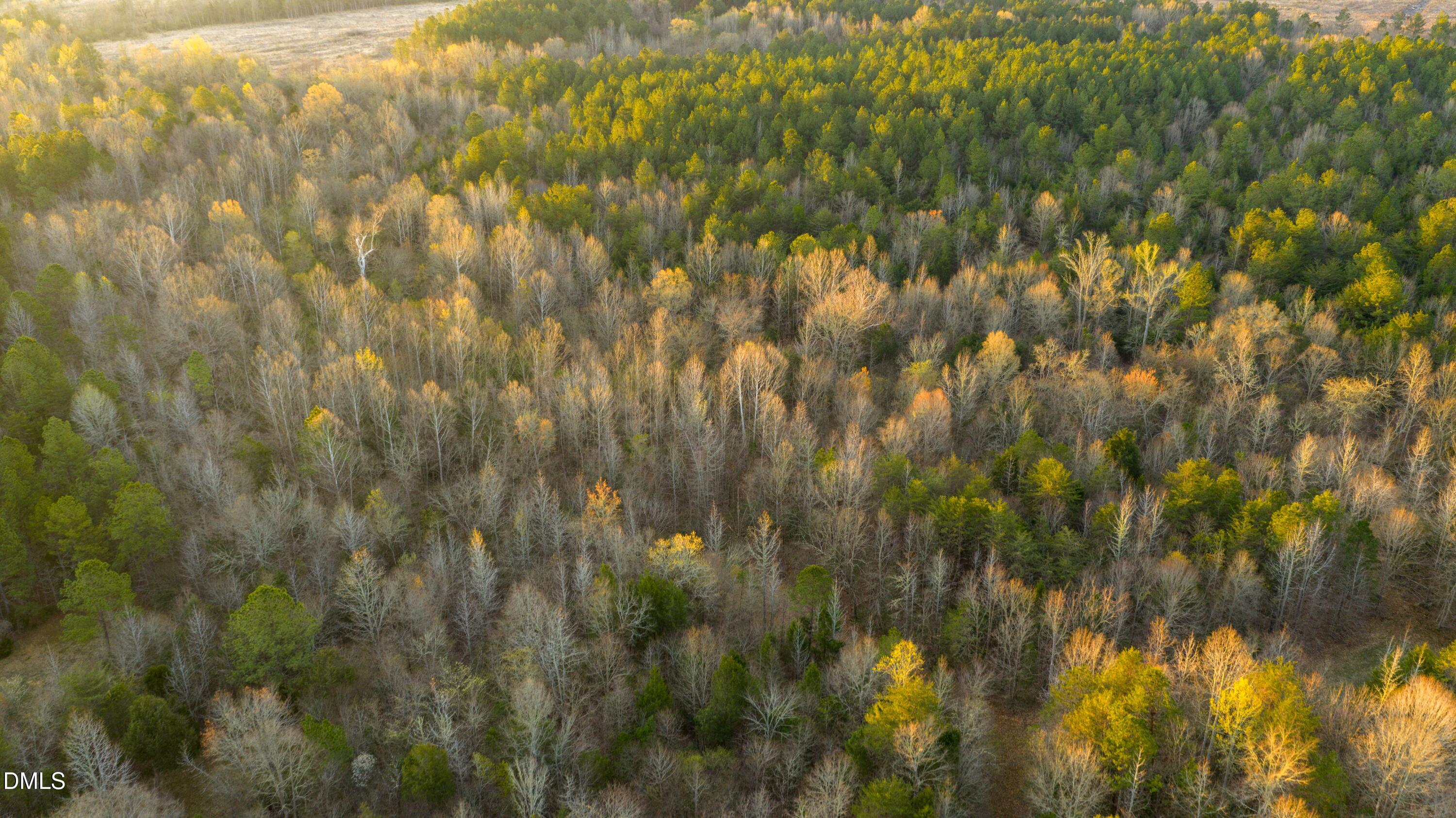 8730 Grassy Creek Road