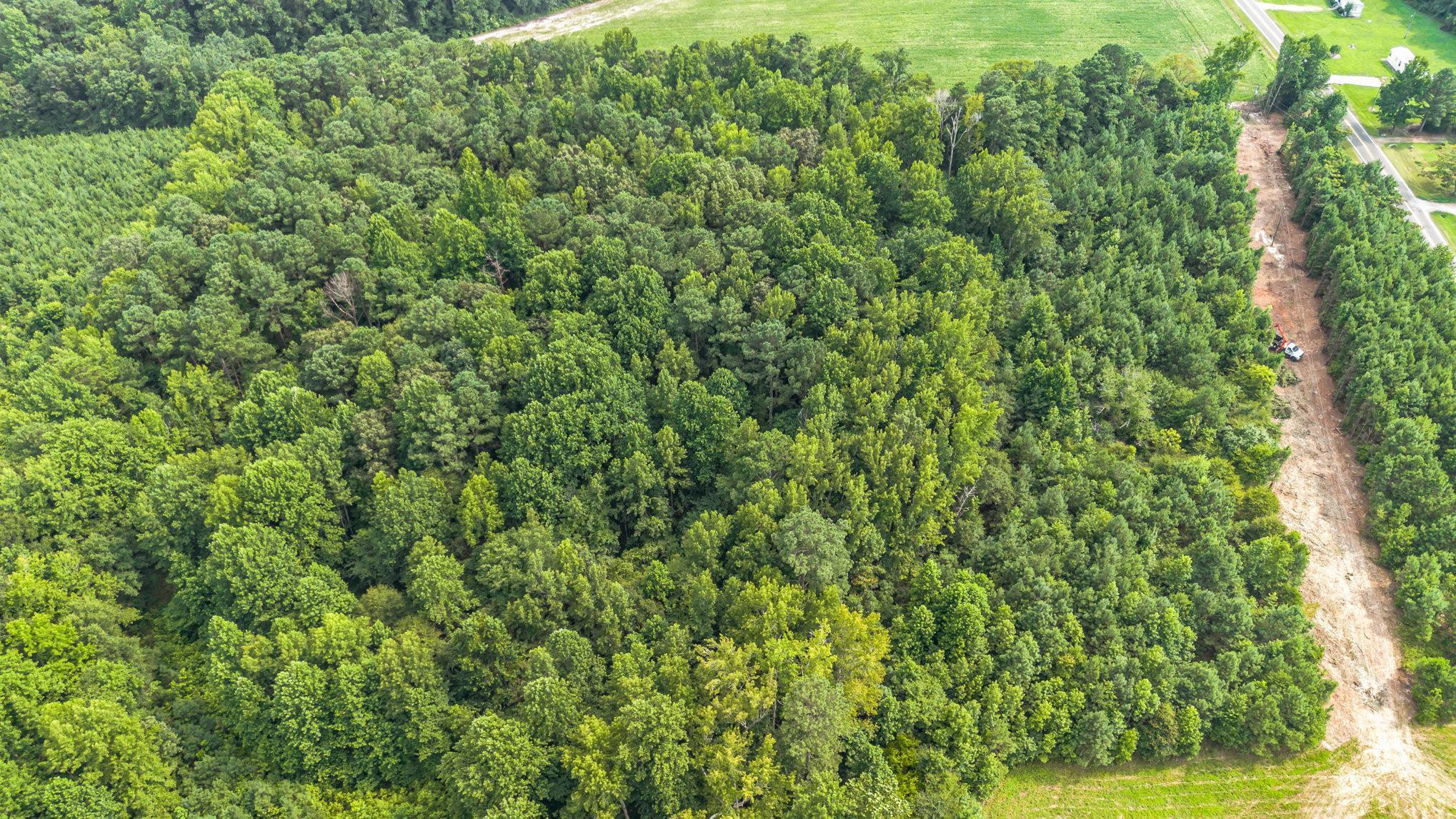 Photo 5 of 10 of 10 Acres P G Pearce Road land