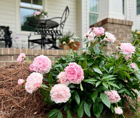 A home in Raleigh